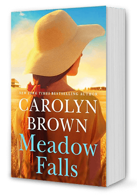 Meadow Falls Book Cover